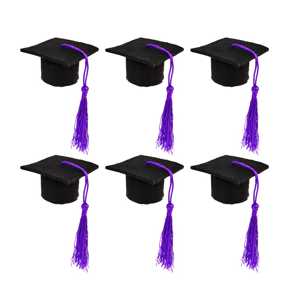 6Pcs Doctoral Cover Mini Docto - Wine Beer Hat recension och pris
