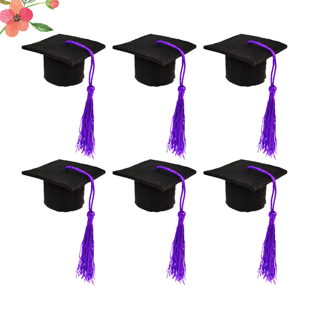 6Pcs Doctoral Cover Mini Docto - Wine Beer Hat recension och pris