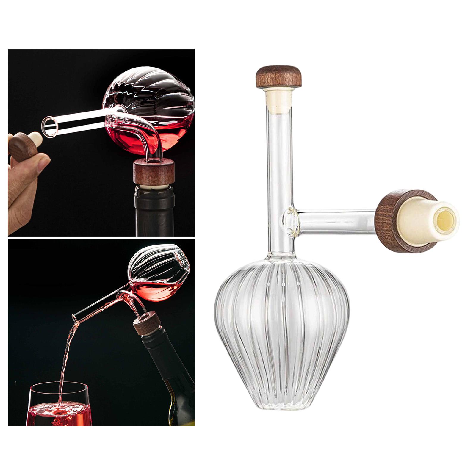 Fast Pouring Portable Decanter - Wine Aerator Pour recension och pris