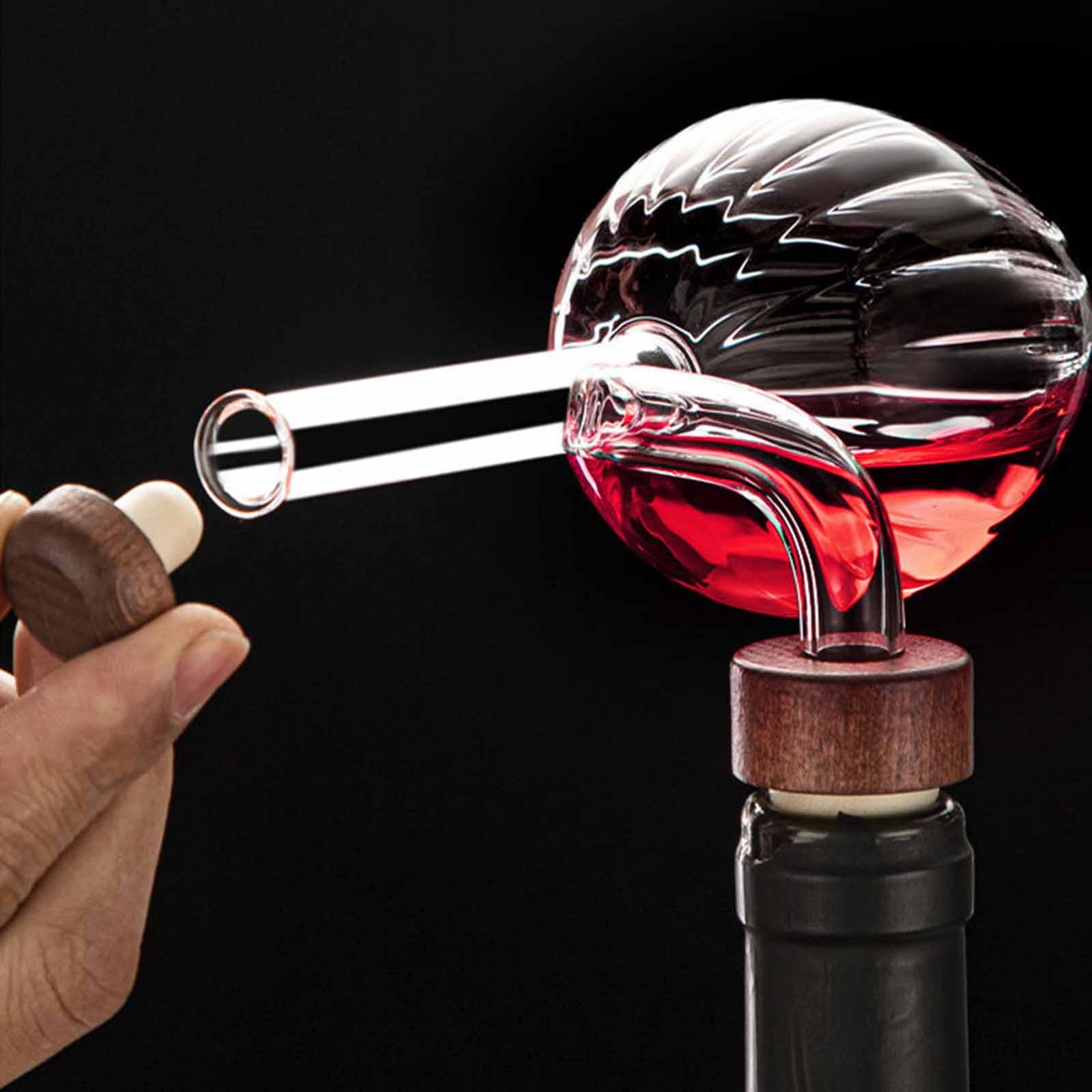Fast Pouring Portable Decanter - Wine Aerator Pour recension och pris